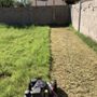 Photo of Flores Hardscape