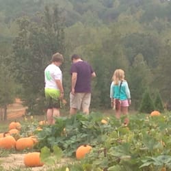 Lazy Acres - Pumpkin picking!