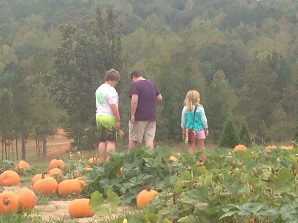 Lazy Acres, Chunky Roadtrippers