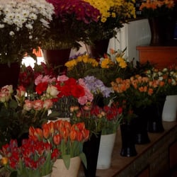 Blumen Flunkert