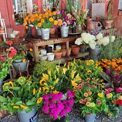 The Flower Company