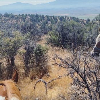Rockin Maddy Ranch - Horseback Riding Near Me - Yreka, California