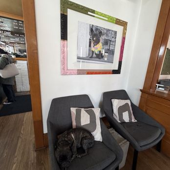 Coffeesmith - Puppy! - Coffee & Tea Near Me - Forest Lake, Minnesota Coffeesmith - Puppy! - Coffee & Tea Near Me - Forest Lake, Minnesota