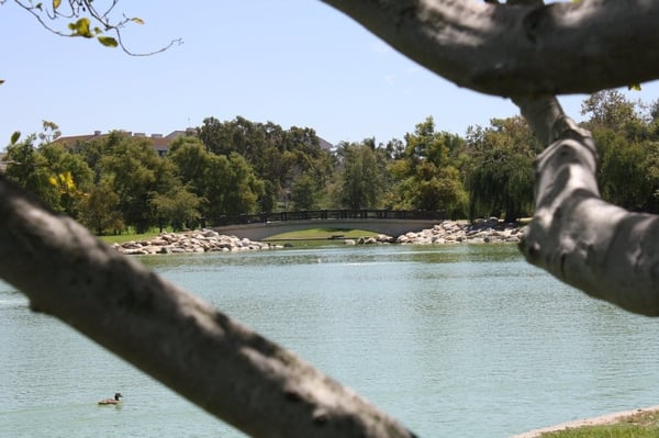 William R Mason Regional Park by null