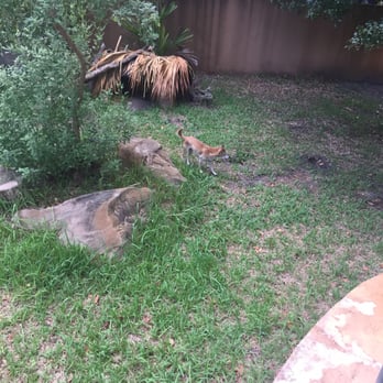 Zoo Miami - Zoos Near Me - Miami, Florida Zoo Miami - Zoos Near Me - Miami, Florida