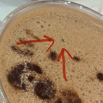 Hello Kitty Cafe - Bug in drink - Themed Cafes Near Me - Santa Clara, California