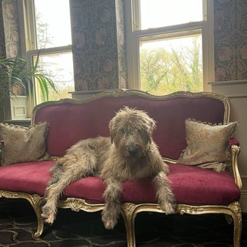 Ballyseede Castle Hotel - Hotels Near Me - Tralee, Kentucky