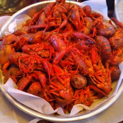 Memphis Nightclub - 1lb Crawfish