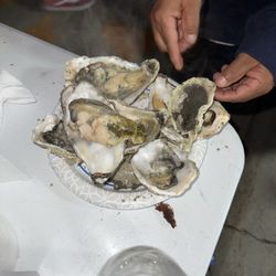 Rancho San Miguel - Black mold on oysters
