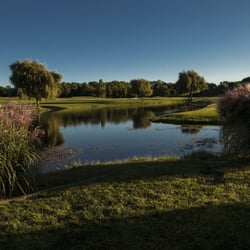 The Links of Novi