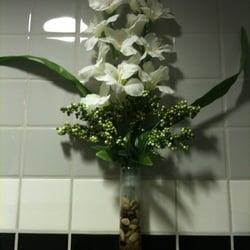 Dollar Tree
