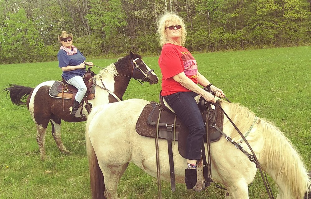 Equestrians dream - The Marshall Farm - equestrian in Gansevoort, NY