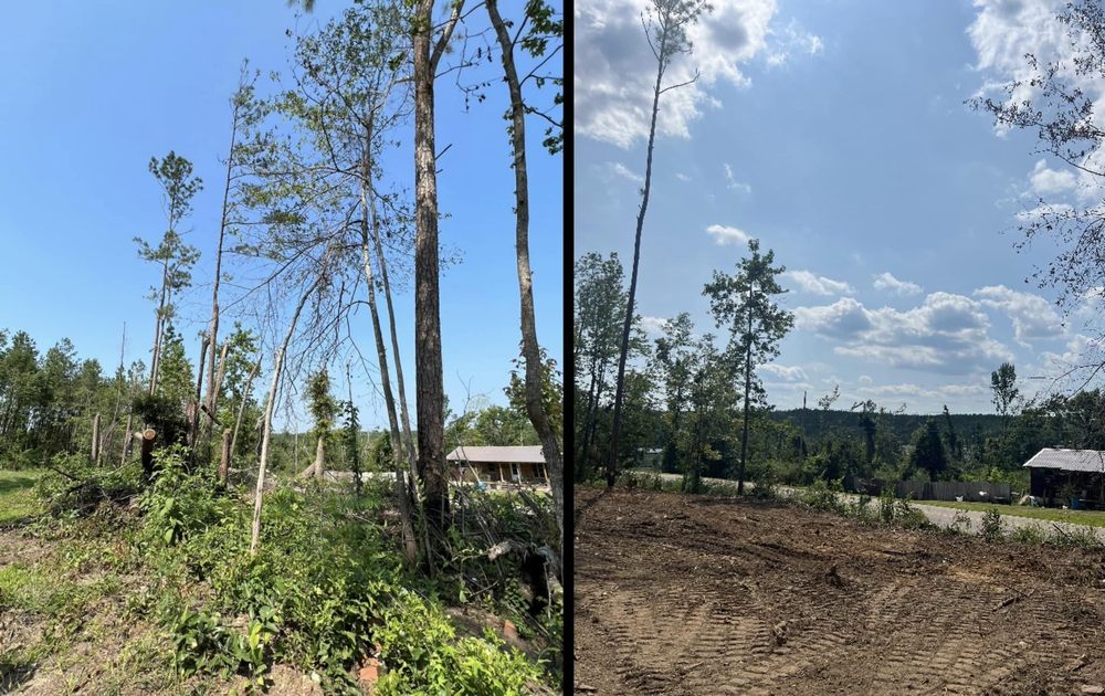 Caylor Enterprise - tree service in Deatsville, AL