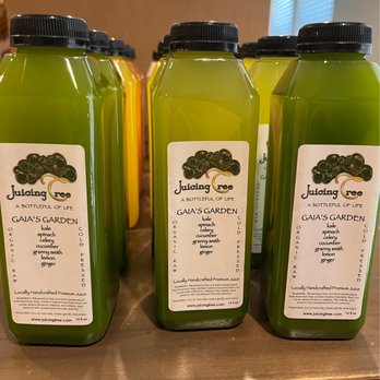 The Juicing Tree - Gaia's Garden - Live/Raw Food Near Me - Denver, Colorado The Juicing Tree - Gaia's Garden - Live/Raw Food Near Me - Denver, Colorado