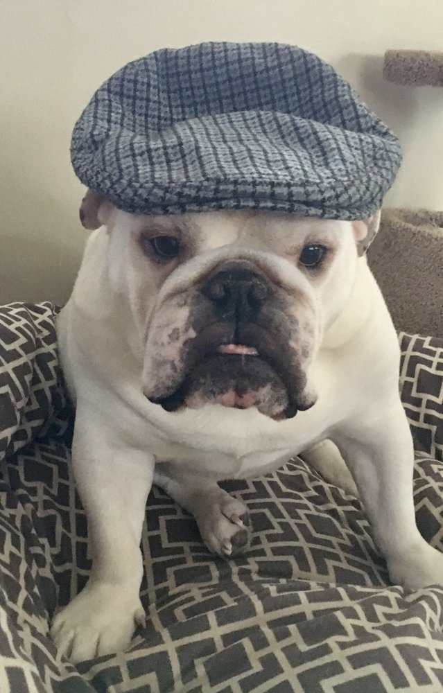 BENTON REAL ESTATE COMPANY Updated May 2024 418 Meadow St, Agawam