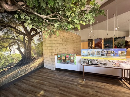 Mission Trails Regional Park Visitor and Interpretive Center by null