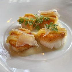 Le Club Chasse et Pêche - Scallops