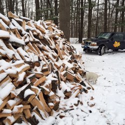 C & A Arborists