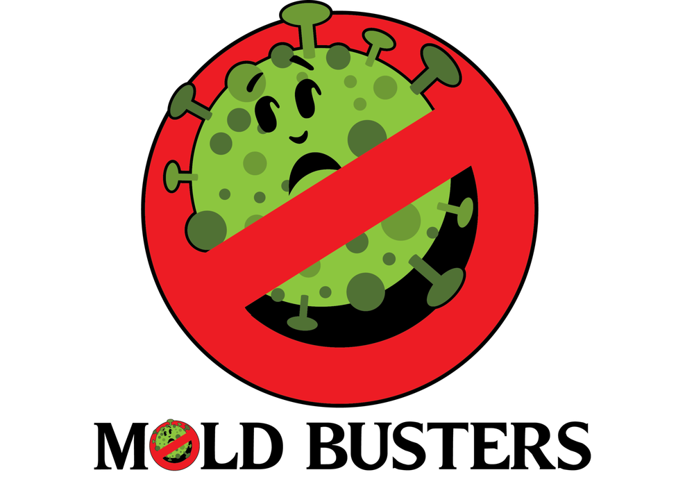 Mold Busters Fort Worth - mold inspector in Fort Worth, TX