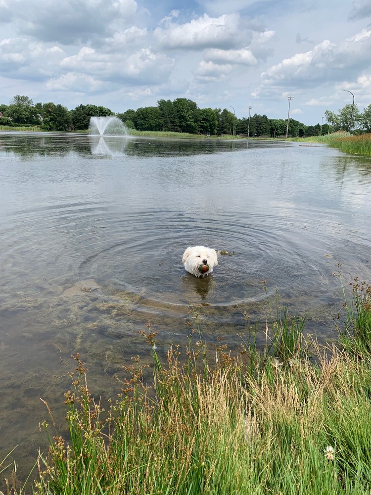 COBBS HILL PARK 120 Photos & 32 Reviews 1550 Highland Ave