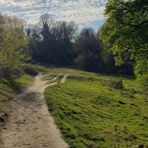 Hampstead Heath on Yelp