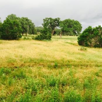 Hollow Tree Ranch - Horseback Riding Near Me - New Braunfels, Texas Hollow Tree Ranch - Horseback Riding Near Me - New Braunfels, Texas