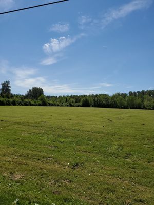 Tolt-MacDonald Park & Campground by null