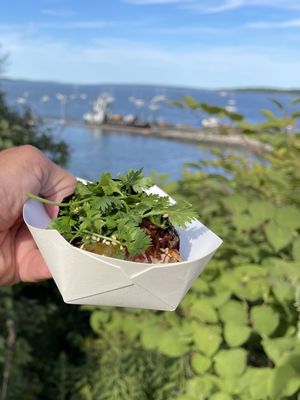 Mr. Tuna by null Mr. Tuna by null