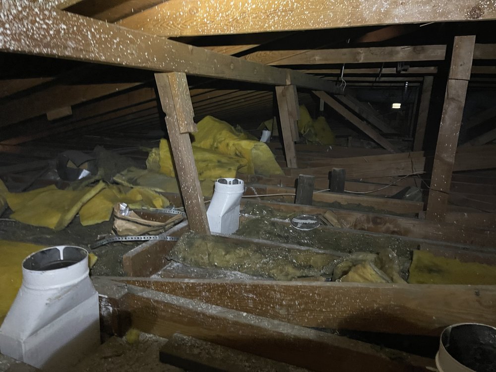 Slide of Ecosmart Development & Construction