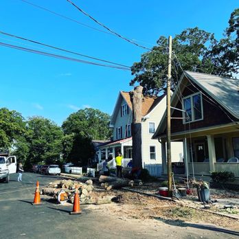 Stringfellow's Tree Service - Tree Services Near Me - Amissville, Virginia