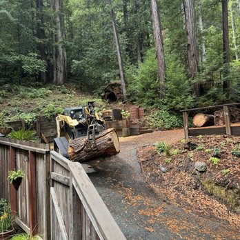 West Coast Tree Services - Tree Services Near Me - Monte Rio, California West Coast Tree Services - Tree Services Near Me - Monte Rio, California