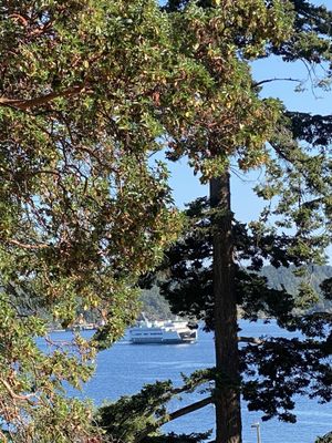 Moran State Park by null