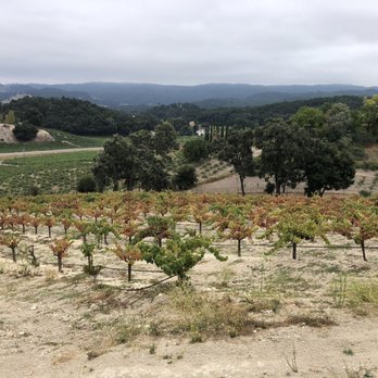 Croad Vineyards - Wineries Near Me - Paso Robles, California Croad Vineyards - Wineries Near Me - Paso Robles, California