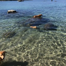 Swimming at private 4H beach