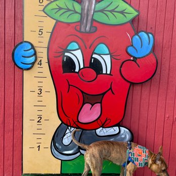 Virginia Farm Market - Farmers Market Near Me - Winchester, Virginia Virginia Farm Market - Farmers Market Near Me - Winchester, Virginia