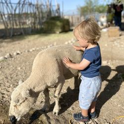 Flip Flop Ranch - Making friends