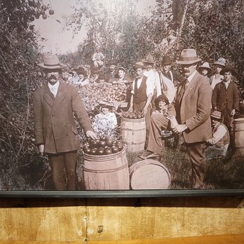 The Cider House - Cideries Near Me - Winchester, Virginia The Cider House - Cideries Near Me - Winchester, Virginia