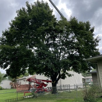 T&T Tree Service - Tree Services Near Me - Valparaiso, Indiana T&T Tree Service - Tree Services Near Me - Valparaiso, Indiana
