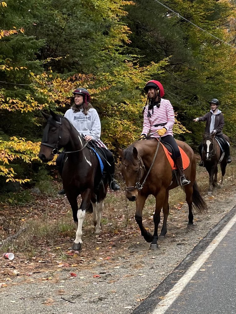 Lincoln Pony Pals - equestrian in Enfield, ME