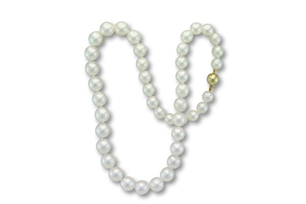 Girls Love Pearls by null