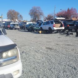 Pick-n-Pull - And the hunt begins