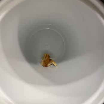 Courtyard by Marriott Mahwah - In the ice bucket from the previous person yuckkkkkkk!! - Hotels Near Me - Mahwah, New Jersey