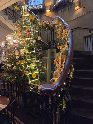 Browns by null Browns by null