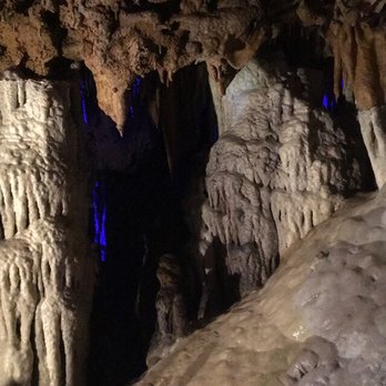 Florida Caverns State Park - Parks Near Me - Marianna, Florida