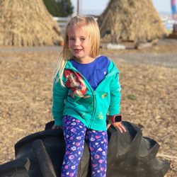 New Sweden Farms corn maze & pumpkin patch - Tractor tile playground and corn teepees