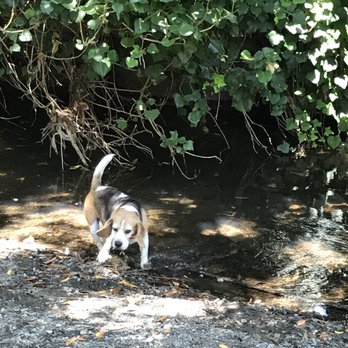 Arroyo Park - Parks Near Me - San Mateo, California