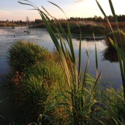 Whitetail Waters Vacation Rental - Another waterfowl preserve area on the property