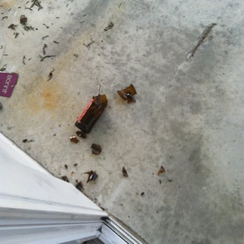 Pacifica Beach Hotel - Outside on our patio, dirt was littered with cigarette butts and beer caps. - Hotels Near Me - Pacifica, California