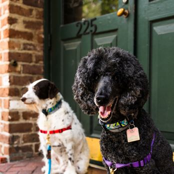 East Bay Inn - Bed & Breakfast Near Me - Savannah, Georgia East Bay Inn - Bed & Breakfast Near Me - Savannah, Georgia
