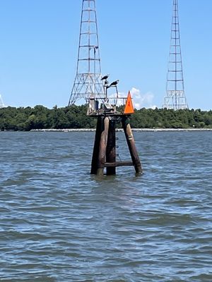 Photo of Schooner Woodwind - Annapolis, MD, US. View of the land from the sailboat